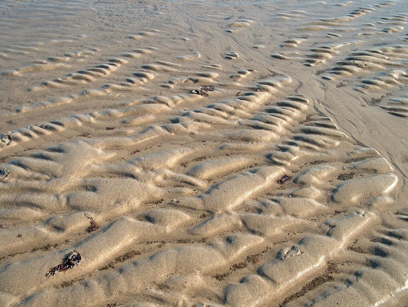 Seaside Venue